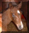 070508 1.jpg (36801 byte)