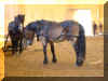 20061007 Treboda 021.jpg (659531 byte)