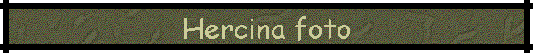 Hercina foto
