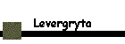 Levergryta