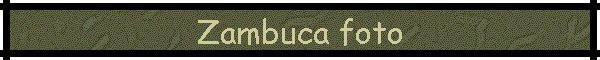 Zambuca foto
