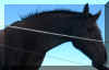 zambuc6.jpg (28281 byte)